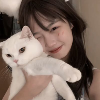 口袋妖怪复刻熊猫玩客户端下载